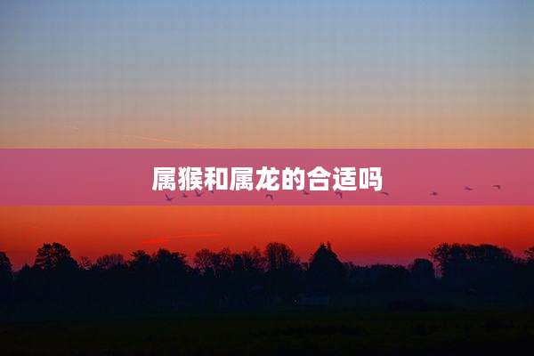 属猴和属龙的合适吗