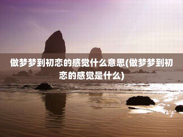 做梦梦到初恋的感觉什么意思(做梦梦到初恋的感觉是什么)