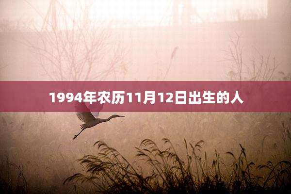 1994年农历11月12日出生的人