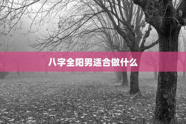 八字全阳男适合做什么