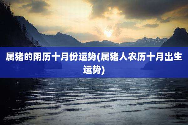 属猪的阴历十月份运势(属猪人农历十月出生运势)
