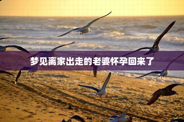 梦见离家出走的老婆怀孕回来了