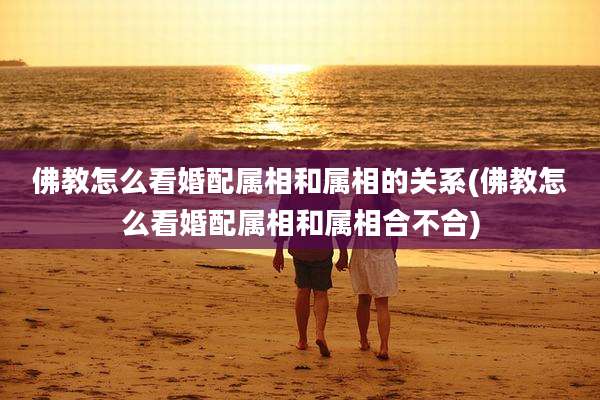 佛教怎么看婚配属相和属相的关系(佛教怎么看婚配属相和属相合不合)