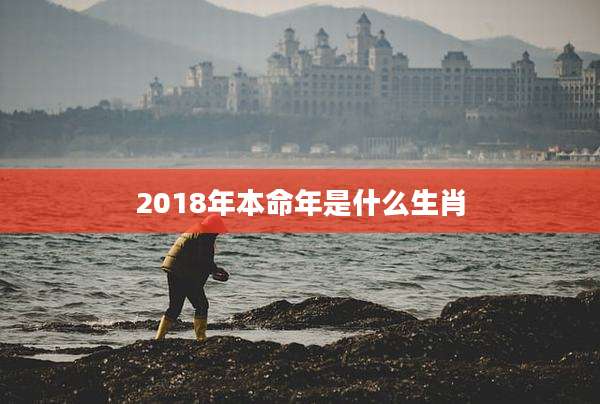 2018年本命年是什么生肖