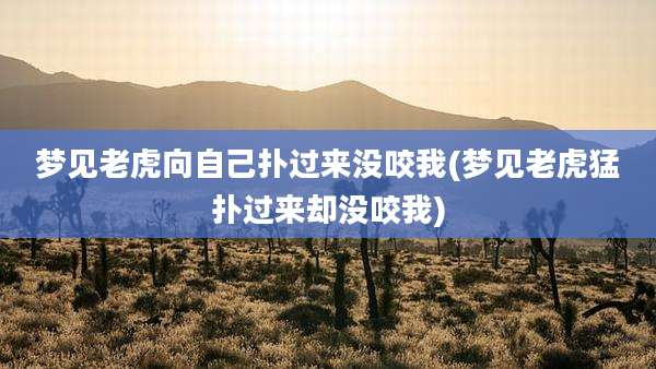 梦见老虎向自己扑过来没咬我(梦见老虎猛扑过来却没咬我)