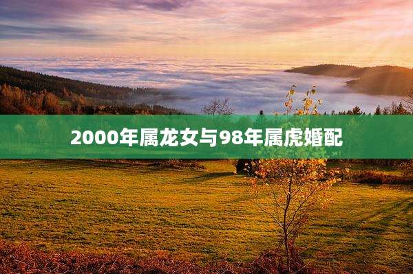2000年属龙女与98年属虎婚配