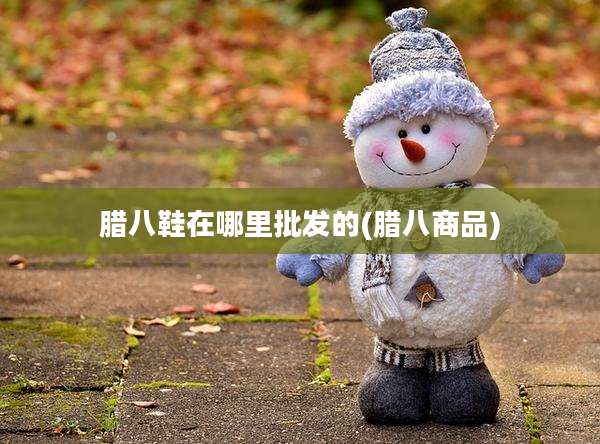 腊八鞋在哪里批发的(腊八商品)