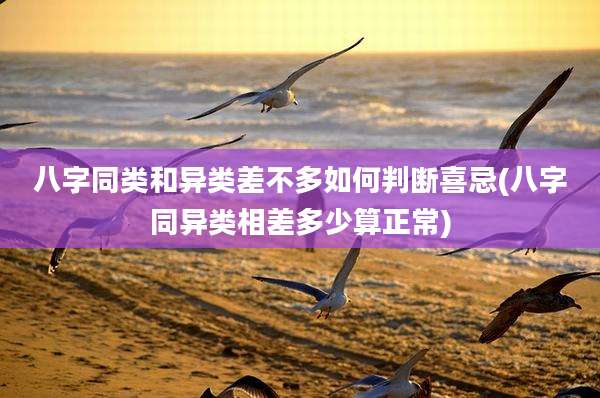 八字同类和异类差不多如何判断喜忌(八字同异类相差多少算正常)