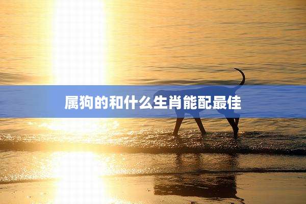 属狗的和什么生肖能配最佳