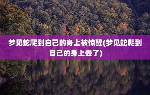 梦见蛇爬到自己的身上被惊醒(梦见蛇爬到自己的身上去了)