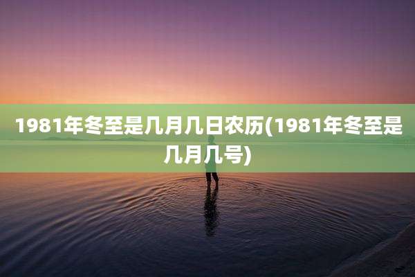 1981年冬至是几月几日农历(1981年冬至是几月几号)