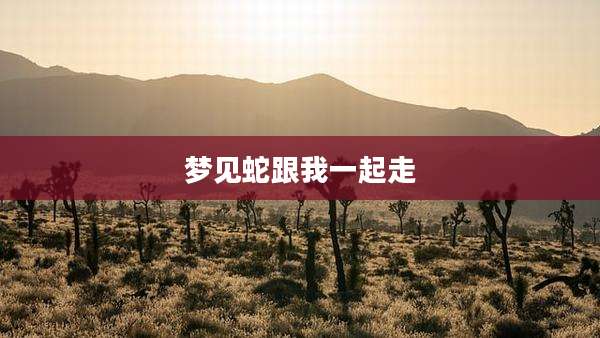 梦见蛇跟我一起走