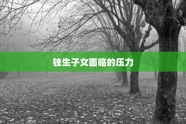 独生子女面临的压力