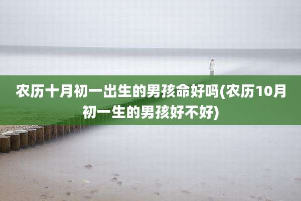 农历十月初一出生的男孩命好吗(农历10月初一生的男孩好不好)