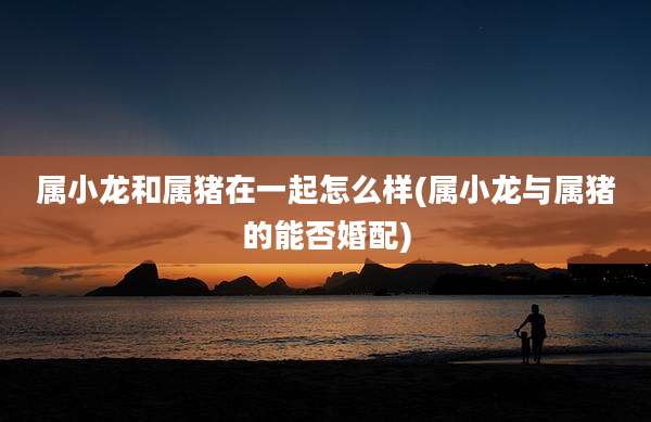 属小龙和属猪在一起怎么样(属小龙与属猪的能否婚配)