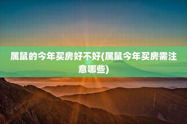 属鼠的今年买房好不好(属鼠今年买房需注意哪些)