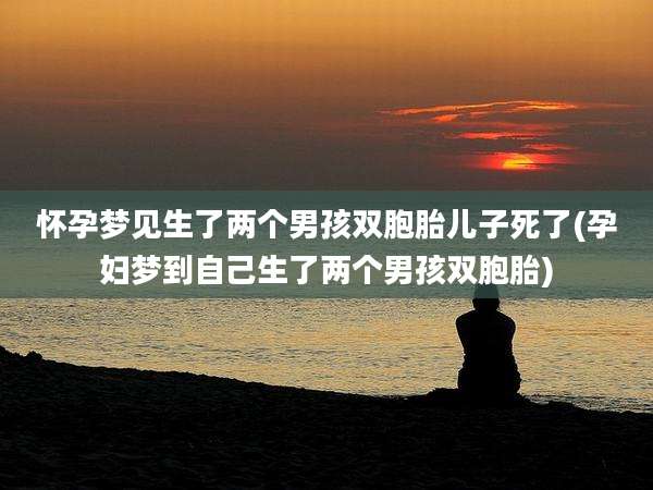 怀孕梦见生了两个男孩双胞胎儿子死了(孕妇梦到自己生了两个男孩双胞胎)
