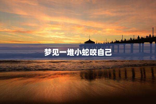 梦见一堆小蛇咬自己