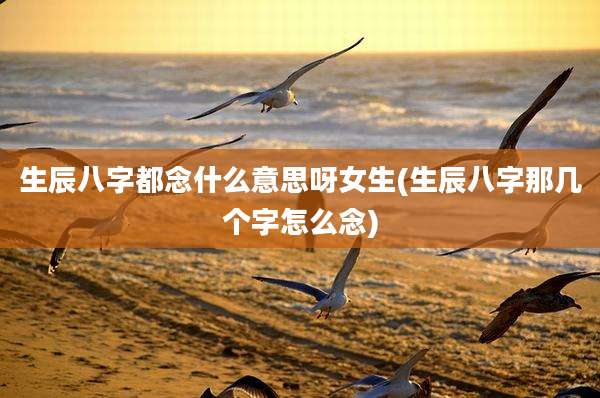 生辰八字都念什么意思呀女生(生辰八字那几个字怎么念)