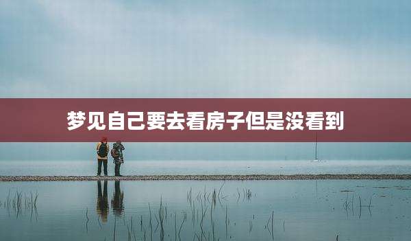 梦见自己要去看房子但是没看到
