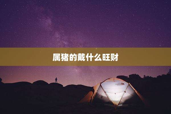 属猪的戴什么旺财