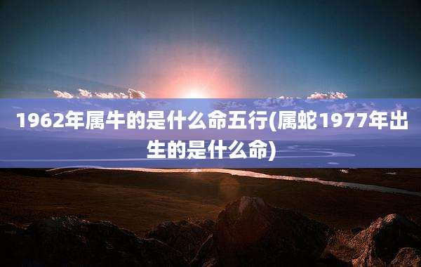 1962年属牛的是什么命五行(属蛇1977年出生的是什么命)