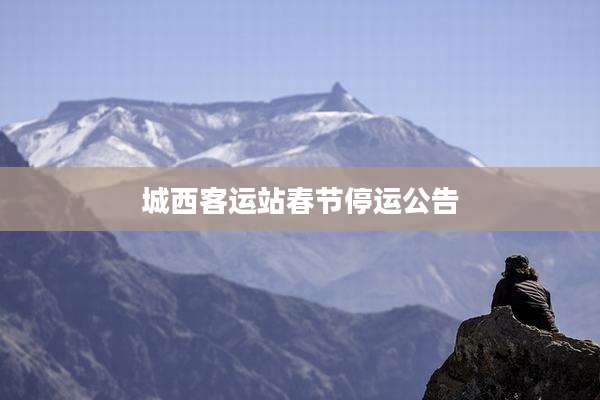 城西客运站春节停运公告