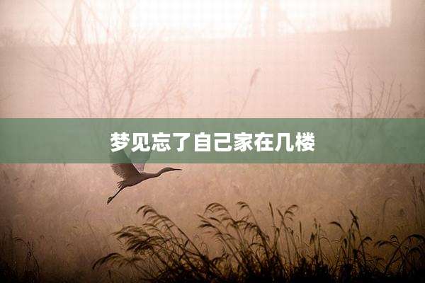 梦见忘了自己家在几楼