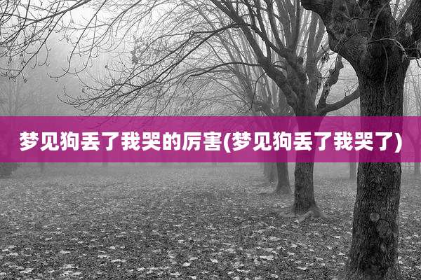 梦见狗丢了我哭的厉害(梦见狗丢了我哭了)