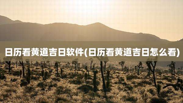 日历看黄道吉日软件(日历看黄道吉日怎么看)