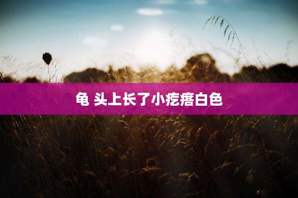 龟 头上长了小疙瘩白色