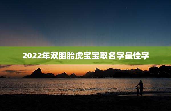 2022年双胞胎虎宝宝取名字最佳字