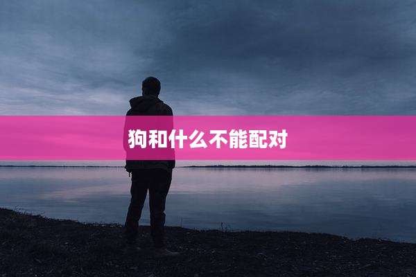狗和什么不能配对