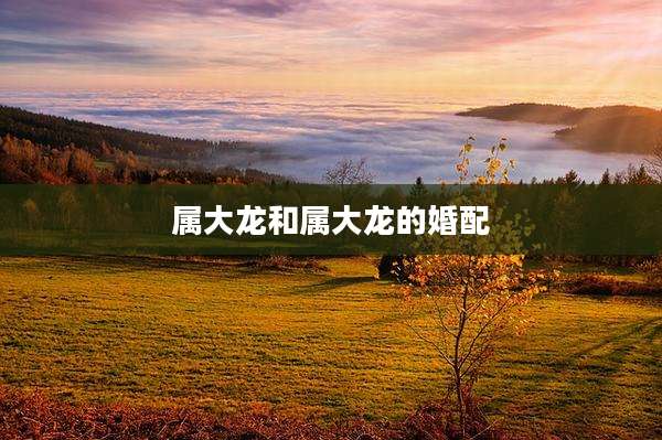 属大龙和属大龙的婚配
