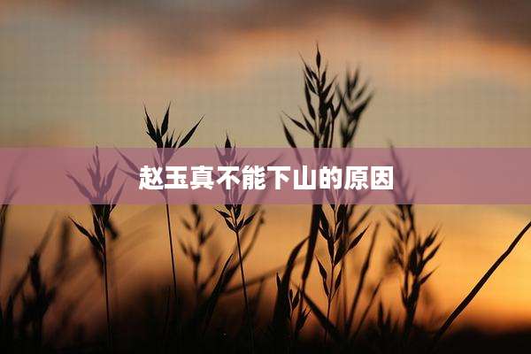 赵玉真不能下山的原因