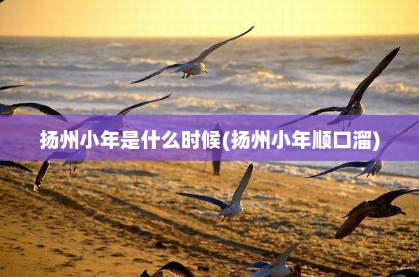 扬州小年是什么时候(扬州小年顺口溜)