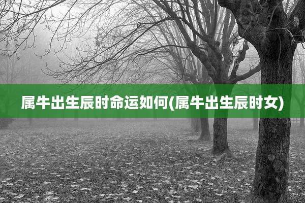属牛出生辰时命运如何(属牛出生辰时女)