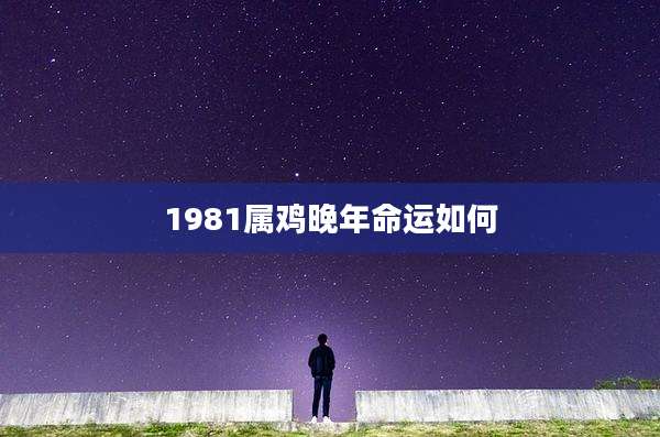 1981属鸡晚年命运如何