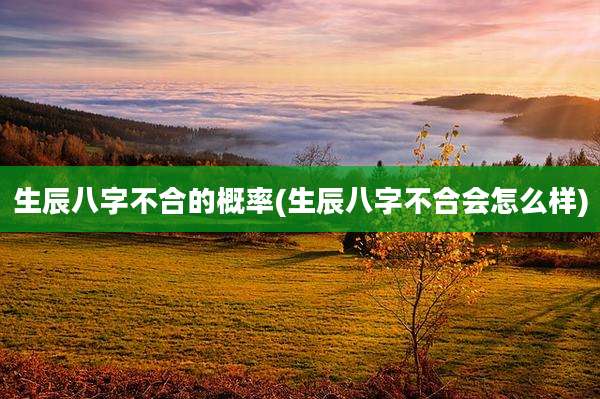 生辰八字不合的概率(生辰八字不合会怎么样)