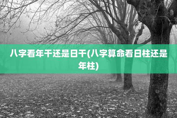 八字看年干还是日干(八字算命看日柱还是年柱)