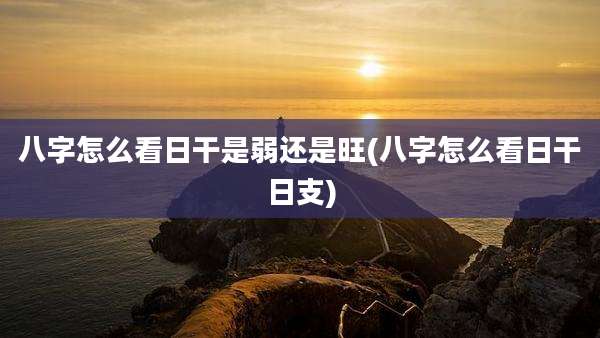 八字怎么看日干是弱还是旺(八字怎么看日干日支)