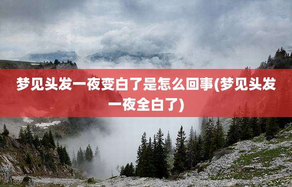 梦见头发一夜变白了是怎么回事(梦见头发一夜全白了)