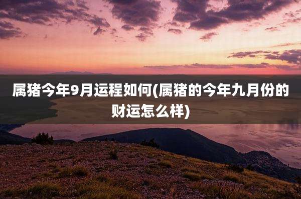 属猪今年9月运程如何(属猪的今年九月份的财运怎么样)