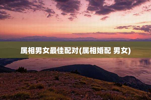 属相男女最佳配对(属相婚配 男女)