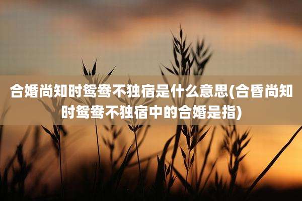 合婚尚知时鸳鸯不独宿是什么意思(合昏尚知时鸳鸯不独宿中的合婚是指)
