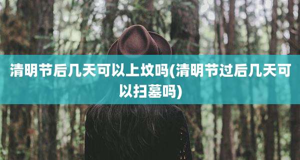 清明节后几天可以上坟吗(清明节过后几天可以扫墓吗)