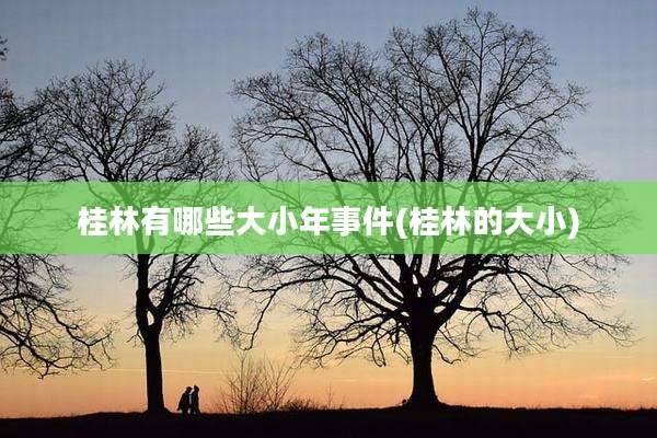 桂林有哪些大小年事件(桂林的大小)