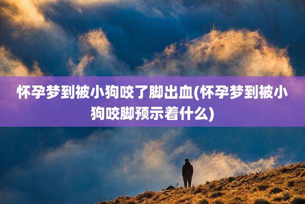 怀孕梦到被小狗咬了脚出血(怀孕梦到被小狗咬脚预示着什么)