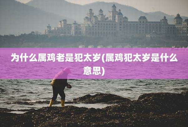 为什么属鸡老是犯太岁(属鸡犯太岁是什么意思)
