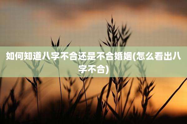 如何知道八字不合还是不合婚姻(怎么看出八字不合)